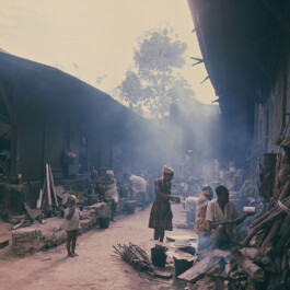 Albert-Schweitzer-Spital, Lambarene