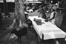 Albert-Schweitzer-Spital, Lambarene