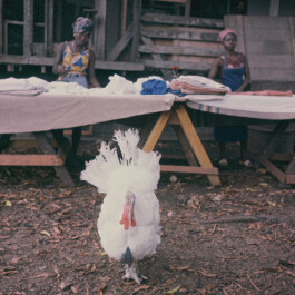 Albert-Schweitzer-Spital, Lambarene