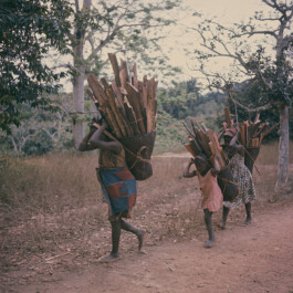 Albert-Schweitzer-Spital, Lambarene