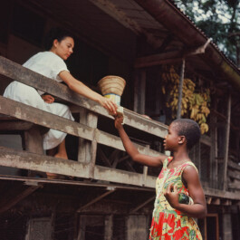 Albert-Schweitzer-Spital, Lambarene