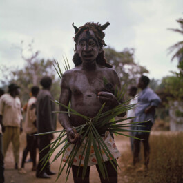 Albert-Schweitzer-Spital, Lambarene
