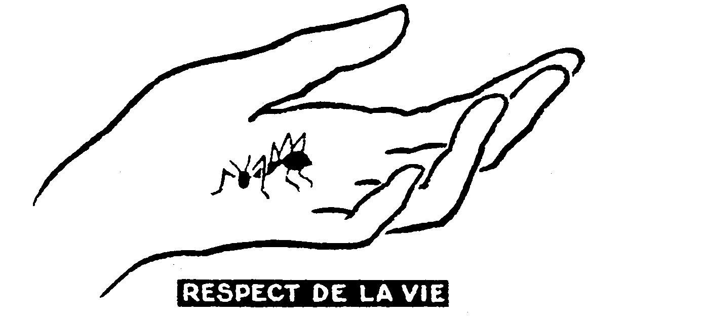 Albert-Schweitzer-Spital, Lambarene